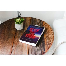 He Saw The Storm He Saw The Storm